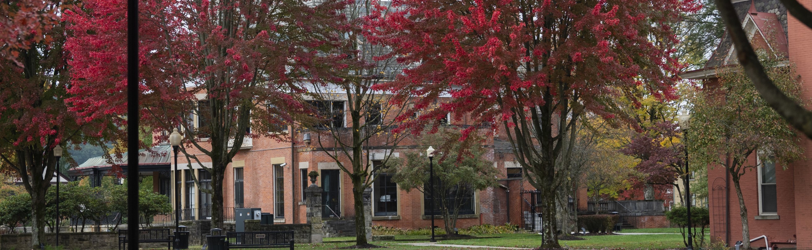 Looking towards McKinney Hall during the fall season.